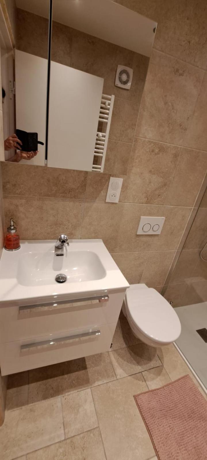 Chambre Independante Sdb Privative A Amplepuis Esterno foto